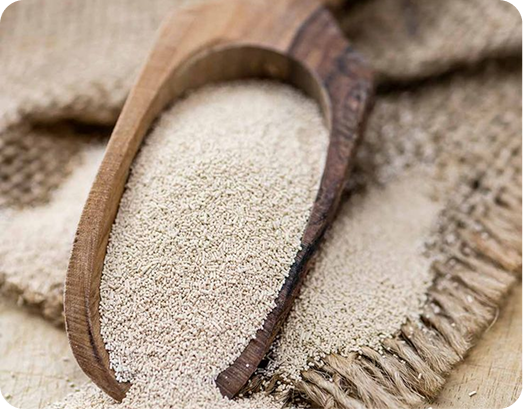 خميرة مجففة